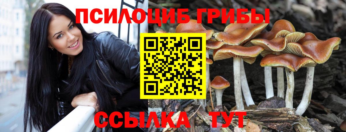 Псилоцибиновые грибы Cubensis Туапсе